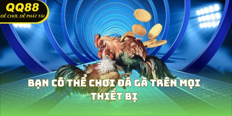 Bạn có thể chơi đá gà trên mọi thiết bị
