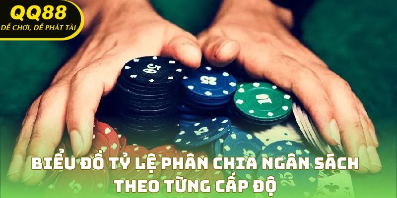 Biểu đồ tỷ lệ phân chia ngân sách theo từng cấp độ