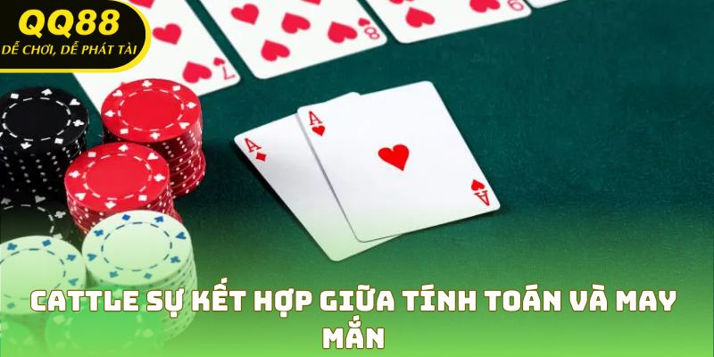 Cattle – sự kết hợp giữa tính toán và may mắn